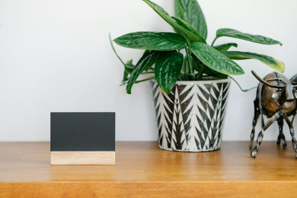 Blank name card placed on shelf near potted plant and metal cow statuette against gray wall