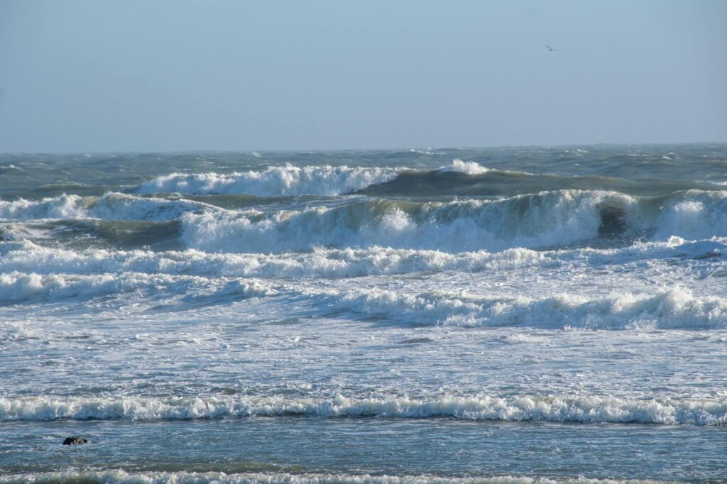 Surf at Deep Hole in January